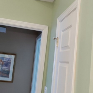 Photo of Paint Buddies