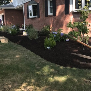 Photo of Reed Meadows Landscaping & Snow Removal