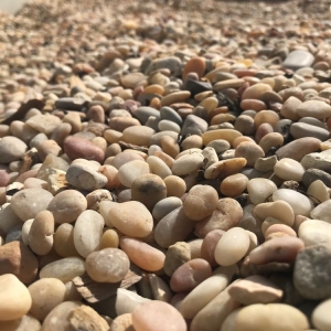 Photo of Peninsula Building Materials