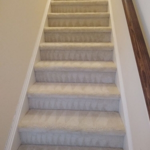 Photo of Clean AIR Carpet care