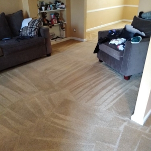 Photo of Clean AIR Carpet care