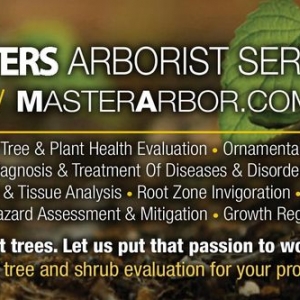 Photo of Kevin Masters Arborist Services