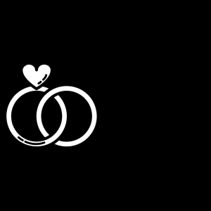 Photo of South Florida Wedding Vendors
