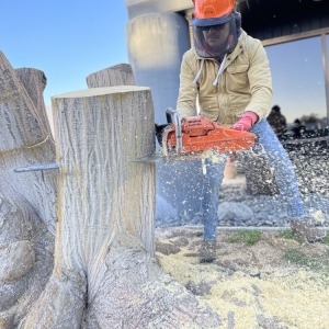 Photo of PRG Tree Care
