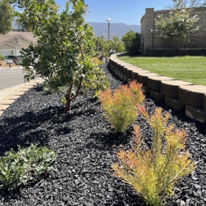Photo of PRG Tree Care