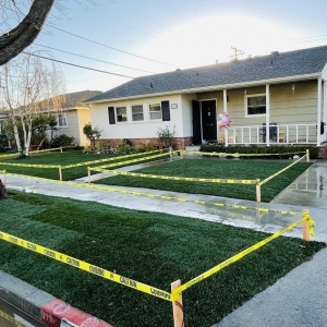 Photo of PRG Tree Care