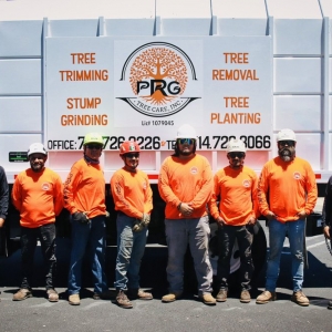 Photo of PRG Tree Care