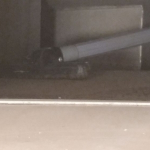 Photo of Wise-Ventz Air Duct & Dryer Vent Cleaning