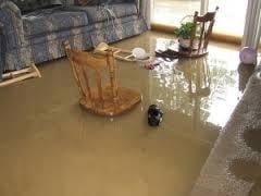 Photo of America Restoration Services