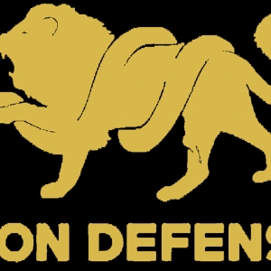 Photo of Lion Defense
