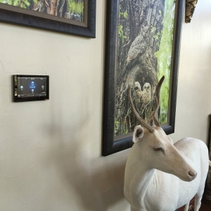 Photo of MR Home Automation