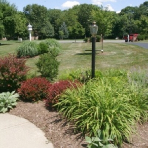 Photo of Action Lawn & Landscape