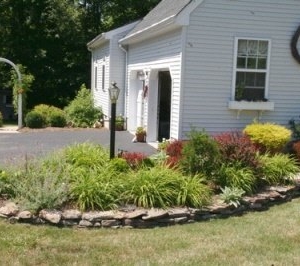 Photo of Action Lawn & Landscape