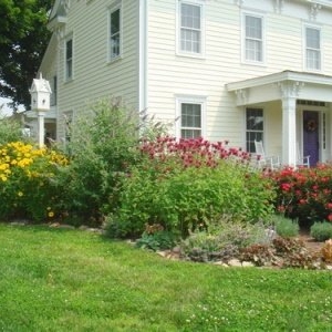 Photo of Action Lawn & Landscape