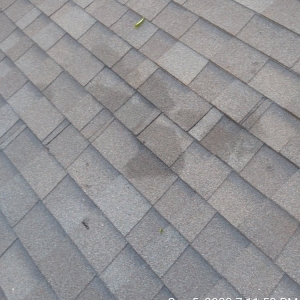 Photo of Mitchells Lawn Care Tree Service