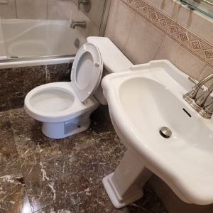 Photo of Quick Cleaning & Dumping