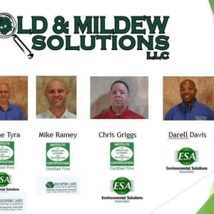 Photo of Mold & Mildew Solutions