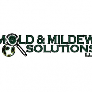 Photo of Mold & Mildew Solutions