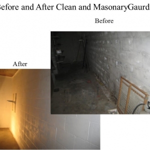 Photo of Mold & Mildew Solutions
