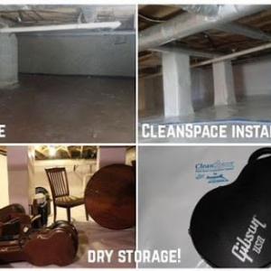 Photo of Mold & Mildew Solutions