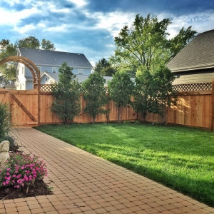 Photo of Clover Fence