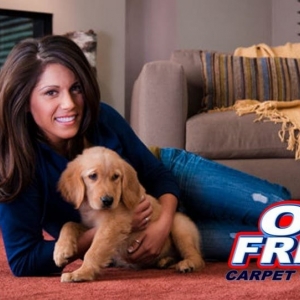 Carrollton Oxi Fresh Carpet Cleaning