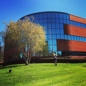 Photo of CVG Window Cleaning