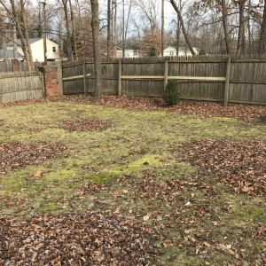 Photo of Johnson & Sons Landscaping