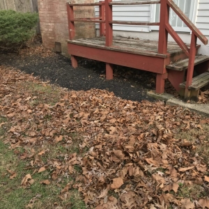 Photo of Johnson & Sons Landscaping
