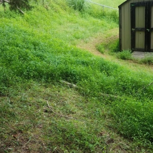 Photo of Johnson & Sons Landscaping