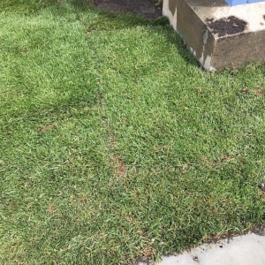 Photo of Phillips Turf Farm