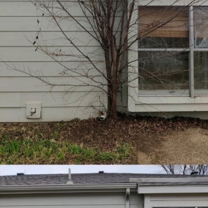 Photo of Jose Mows Lawns & More
