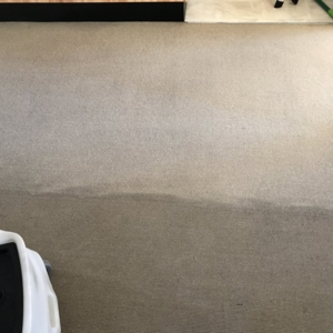 Photo of Drymaster Carpet Cleaning