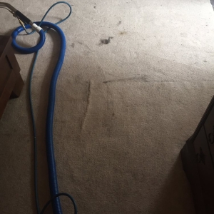 Photo of N-L Carpet Cleaning