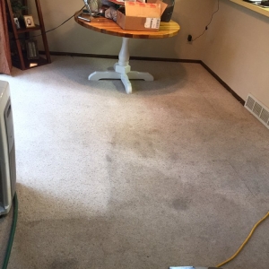 Photo of N-L Carpet Cleaning