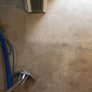 Photo of N-L Carpet Cleaning