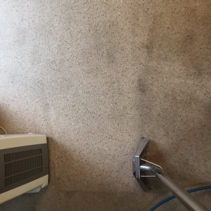 Photo of N-L Carpet Cleaning