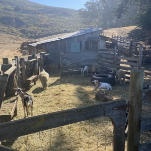 Photo of Slide Ranch