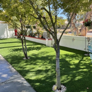 Photo of Homeowner Turf Direct
