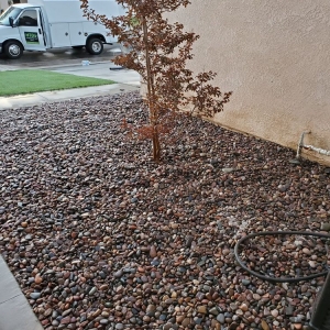 Photo of Homeowner Turf Direct