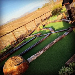 Photo of Homeowner Turf Direct