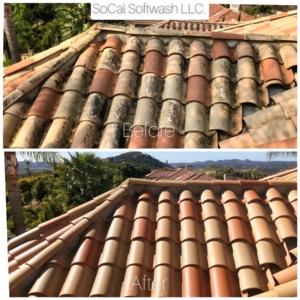 Photo of SoCal Softwash