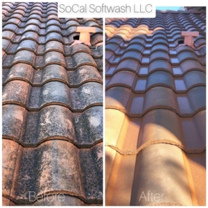 Photo of SoCal Softwash