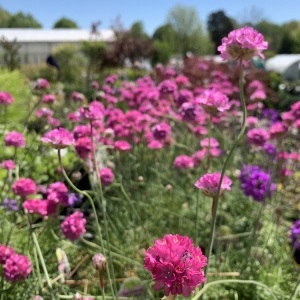 Photo of Preston Greenhouse & Garden Center
