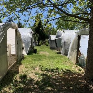 Photo of Preston Greenhouse & Garden Center