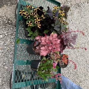 Photo of Preston Greenhouse & Garden Center