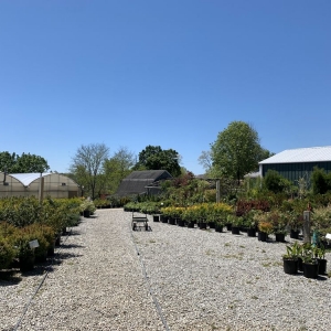 Photo of Preston Greenhouse & Garden Center