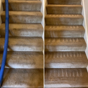 Photo of Steam Brothers Carpet Cleaning and More