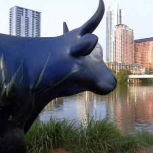 Photo of Lone Star Market Research