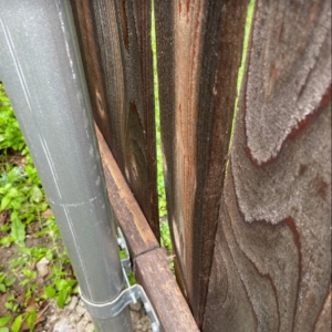 Photo of Pro Fence